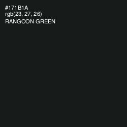 #171B1A - Rangoon Green Color Image